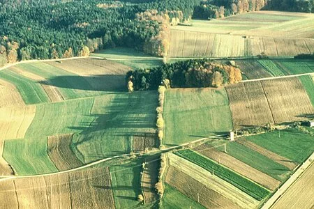 Verlauf der Hecke bei Burgsalach